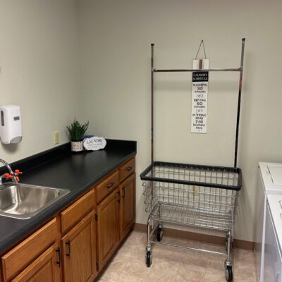 A laundry room with a black countertop and wooden cabinets below. On the countertop, there is a small potted plant and a basket labeled 